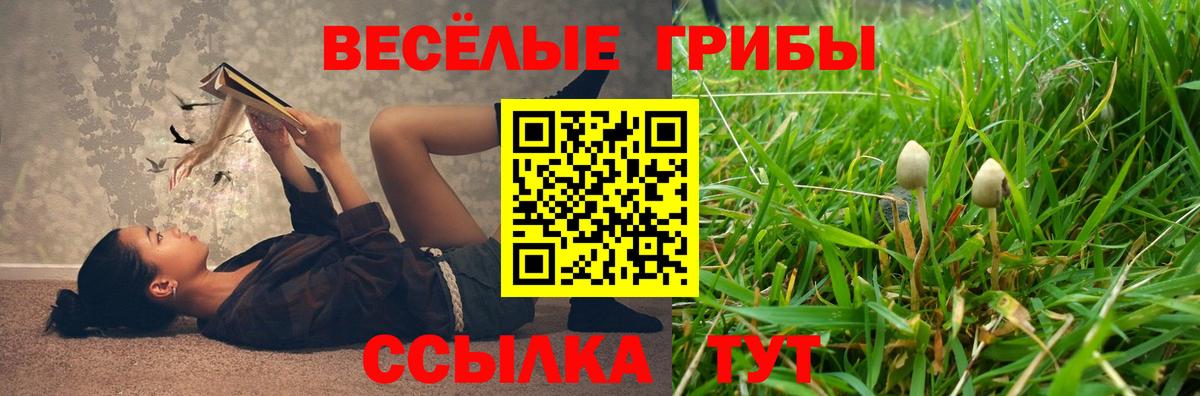Галлюциногенные грибы GOLDEN TEACHER  Псилоцибиновые грибы MAGIC MUSHROOMS  Вход с VPN  Пыть-Ях 